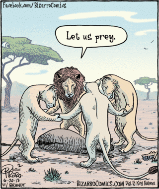 Piraro's comics just make me smile.